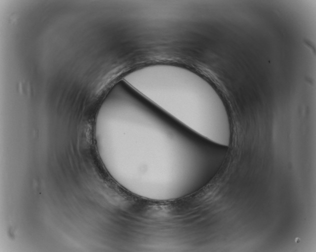 X0000102510071200808081016