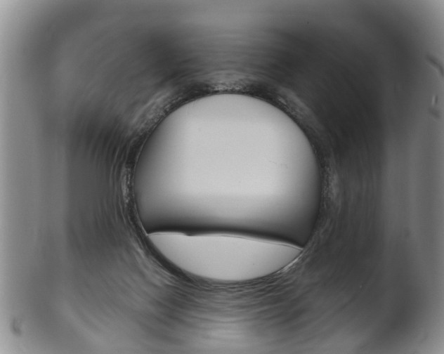 X0000102510074200808081016
