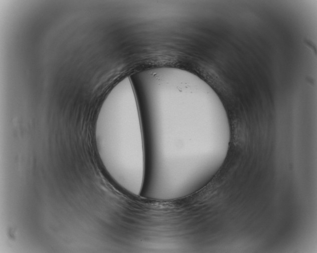 X0000102510077200808081016