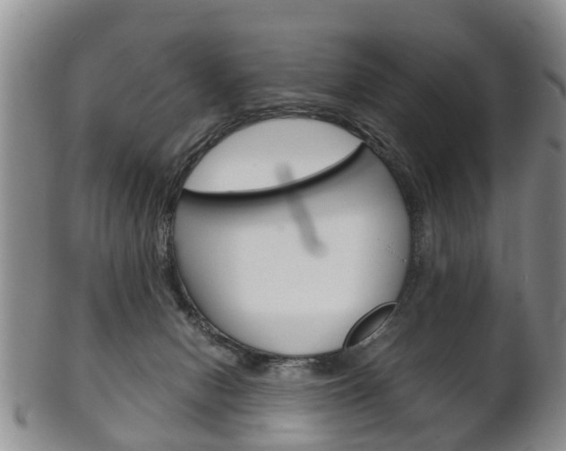 X0000102510078200808081016