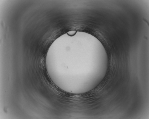 X0000102510079200808081016