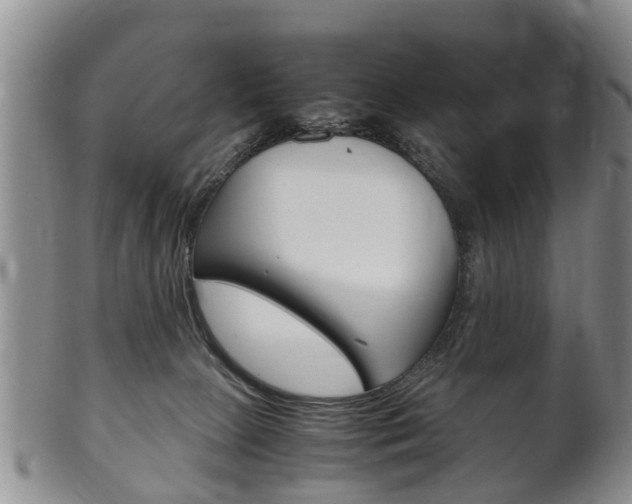 X0000102510081200808081016