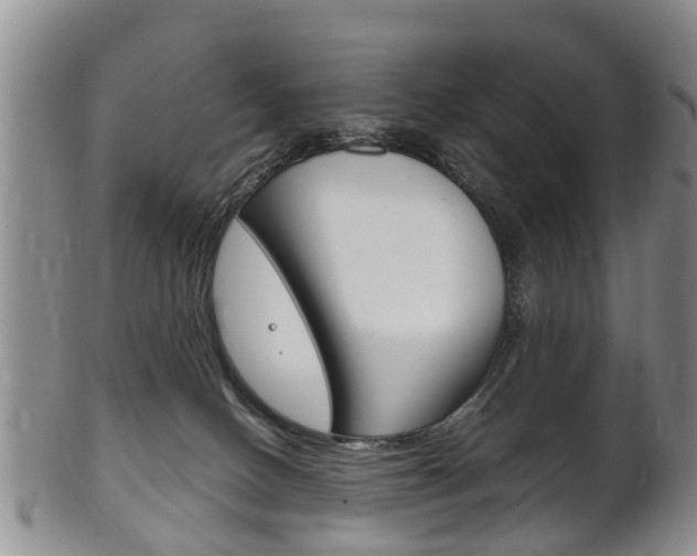 X0000102510082200808081016