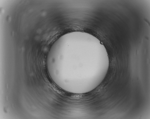 X0000102510084200808081016