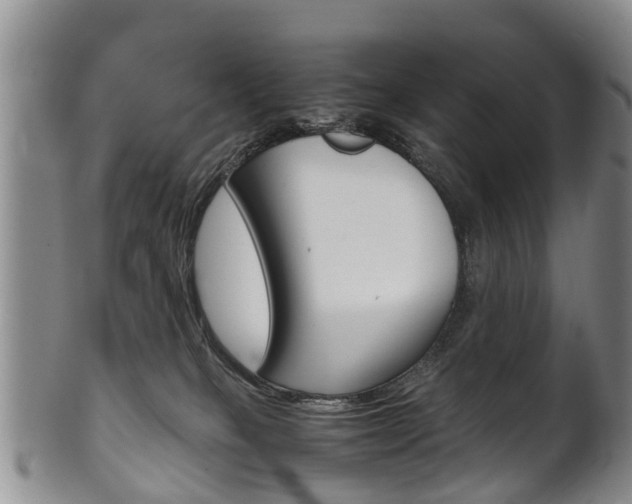 X0000102510085200808081016
