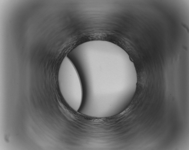 X0000102510086200808081016