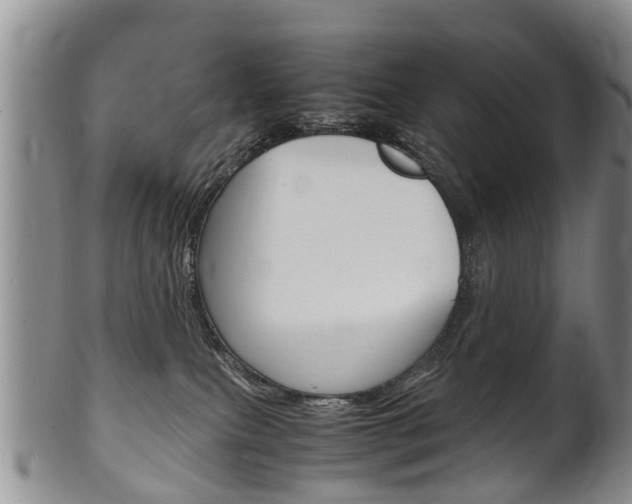 X0000102510087200808081016