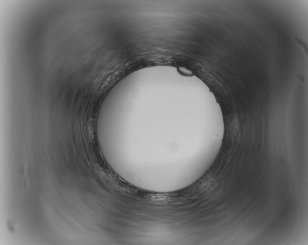 X0000102510088200808081016