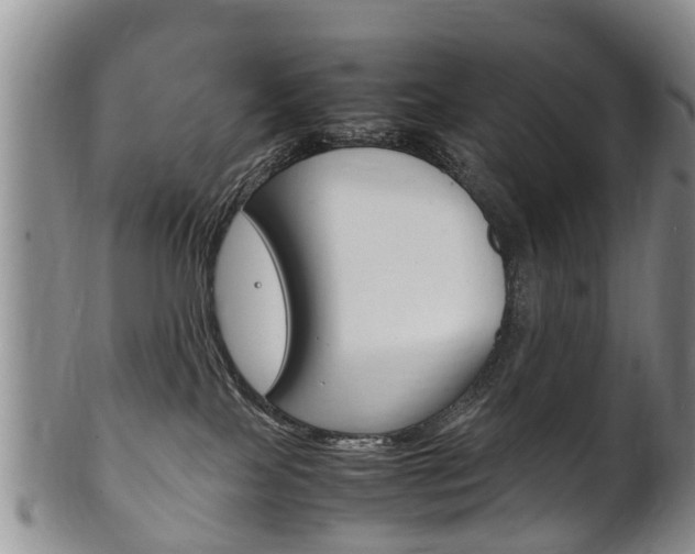 X0000102510089200808081016