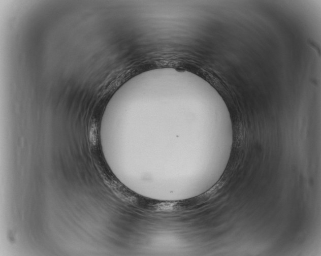 X0000102510090200808081016