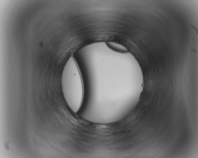 X0000102510091200808081016