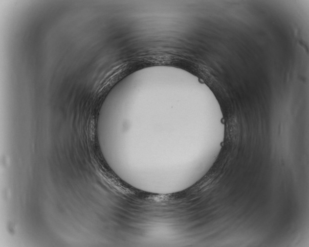 X0000102510092200808081016