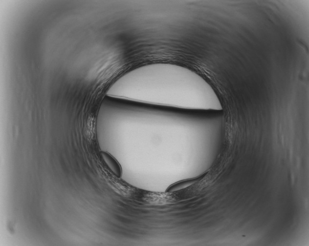 X0000102510093200808081016