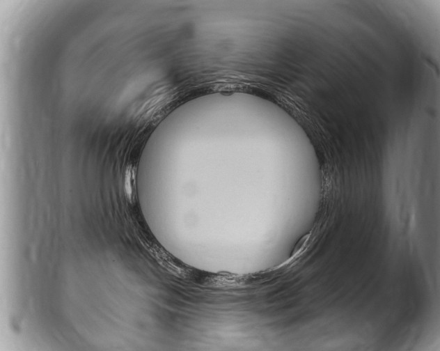 X0000102510094200808081016