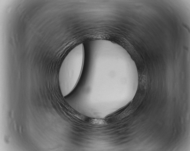 X0000102510095200808081016