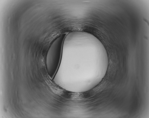 X0000102510096200808081016
