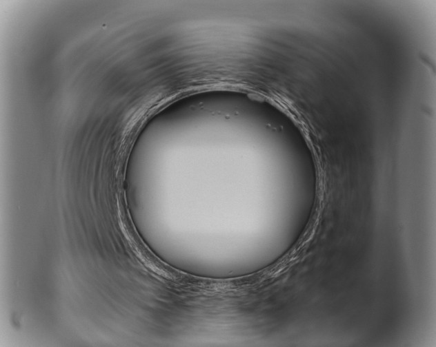 X0000102510097200808081016