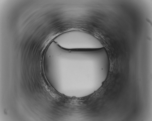 X0000102510098200808081016