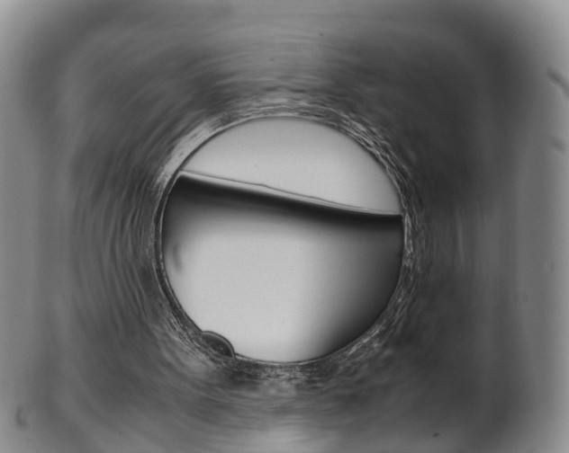 X0000102510099200808081016
