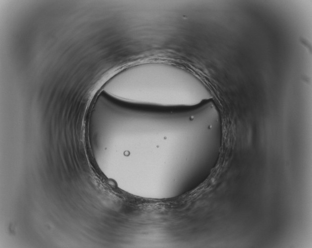 X0000102510100200808081016