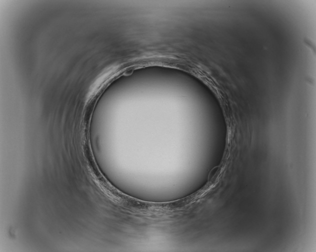 X0000102510101200808081015