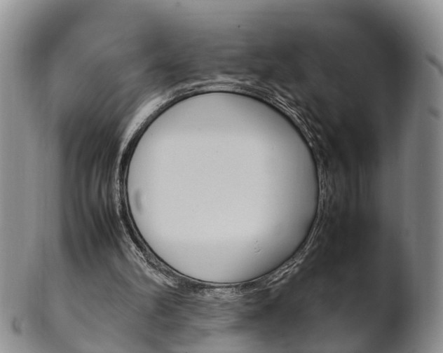 X0000102510102200808081015