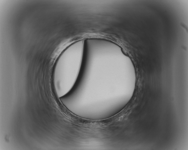 X0000102510103200808081015