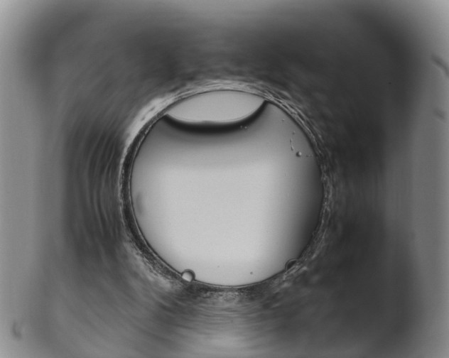 X0000102510104200808081015