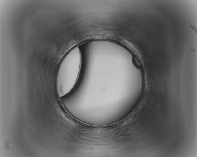 X0000102510105200808081015