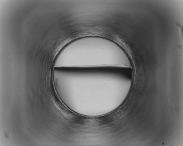 X0000102510107200808081015
