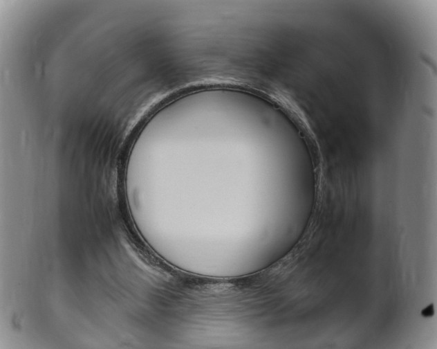 X0000102510108200808081015