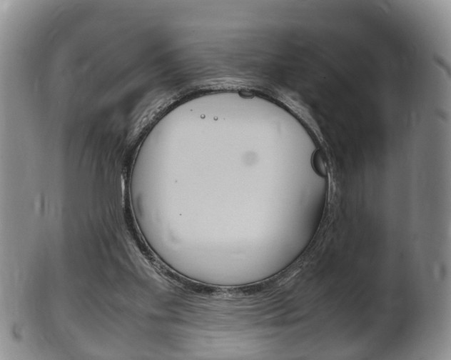 X0000102510109200808081015