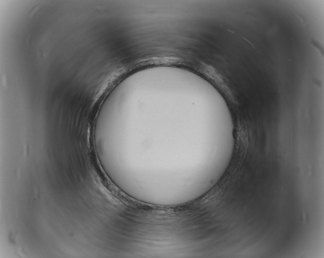 X0000102510110200808081015