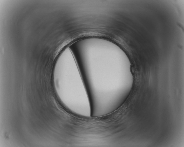 X0000102510111200808081015
