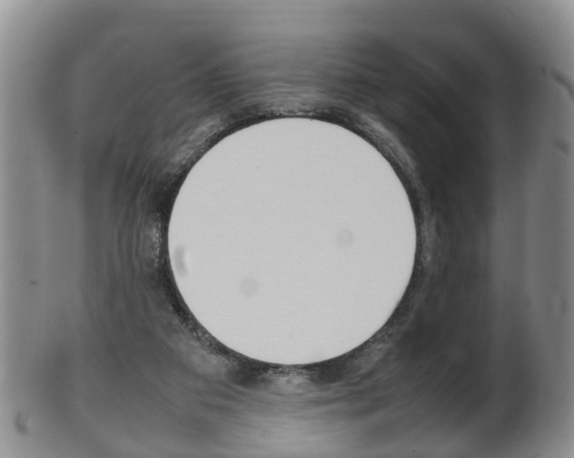 X0000102510113200808081015