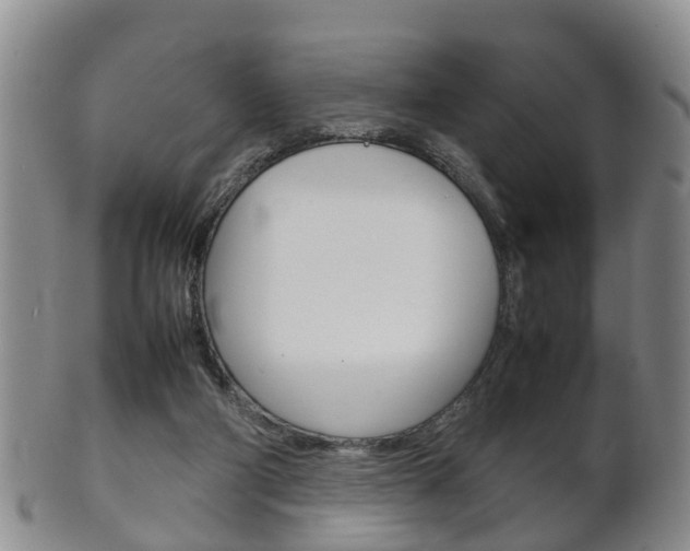 X0000102510114200808081015