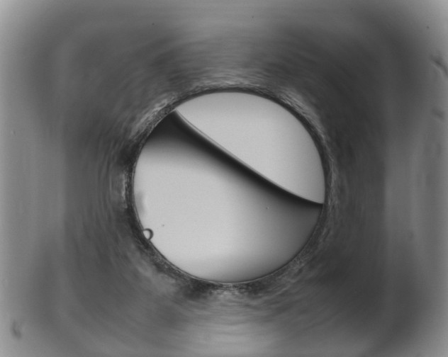 X0000102510115200808081015