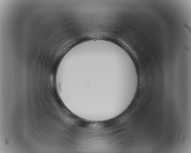 X0000102510117200808081015