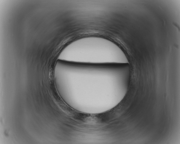 X0000102510119200808081015