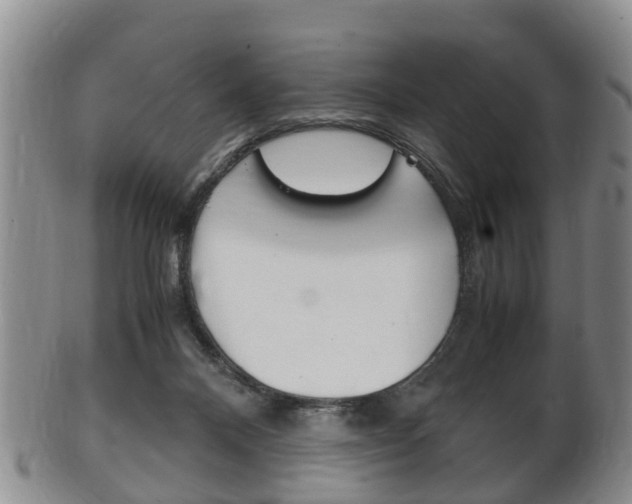 X0000102510120200808081015