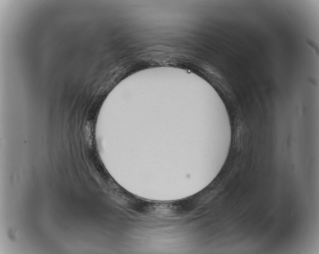 X0000102510121200808081015