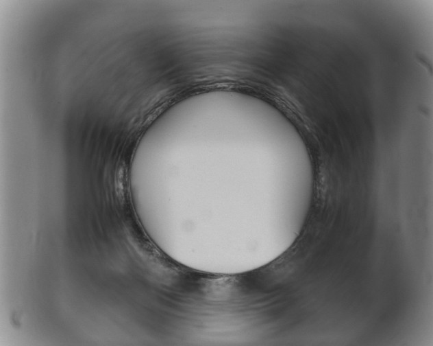 X0000102510122200808081015