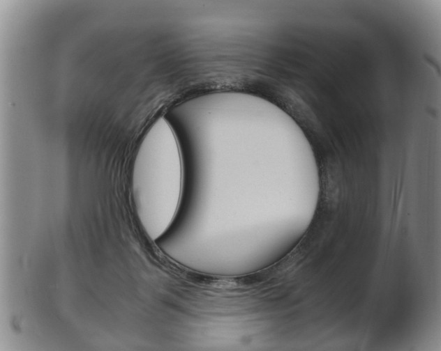 X0000102510123200808081015