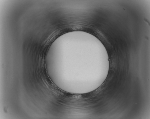 X0000102510124200808081015