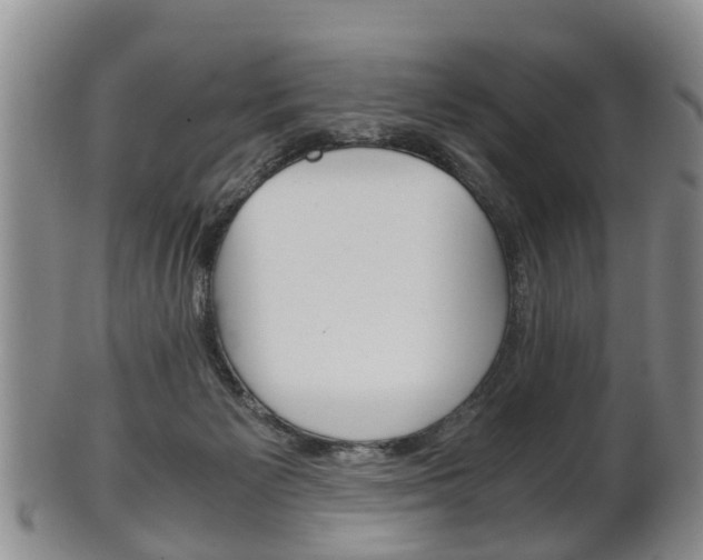 X0000102510125200808081015