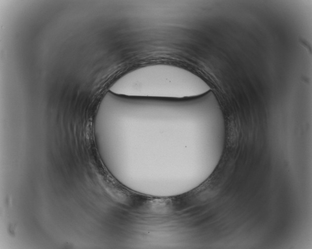 X0000102510126200808081015
