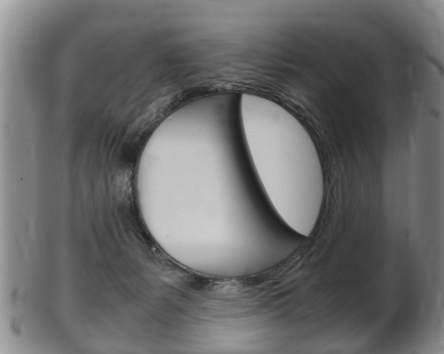 X0000102510127200808081015