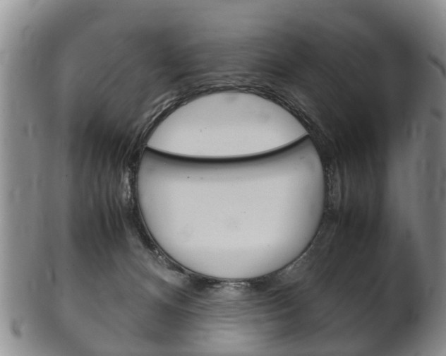 X0000102510128200808081015