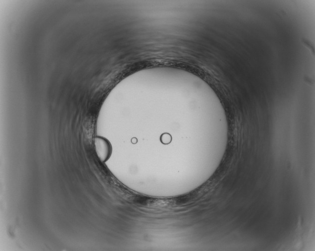 X0000102510129200808081015