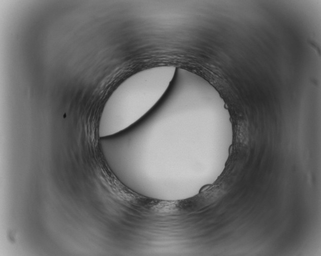 X0000102510138200808081015